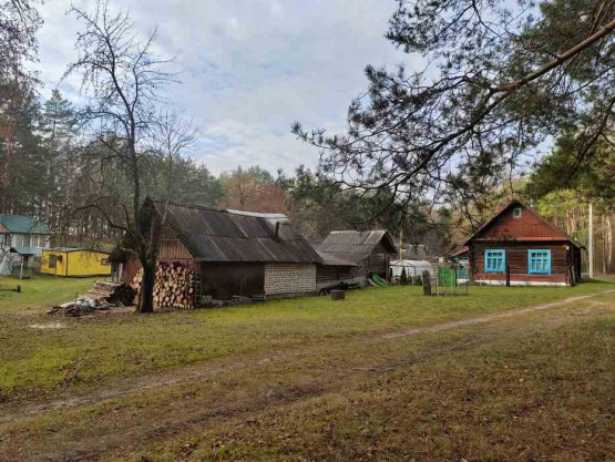 Деревня Окушковщина и 4 сожжённых дома