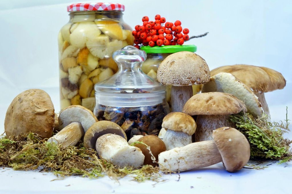   Профилактика  отравления   грибами