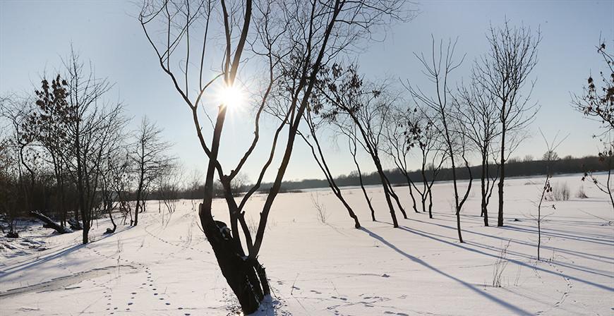Сильный ветер и до +3°С ожидается в Беларуси 10 февраля