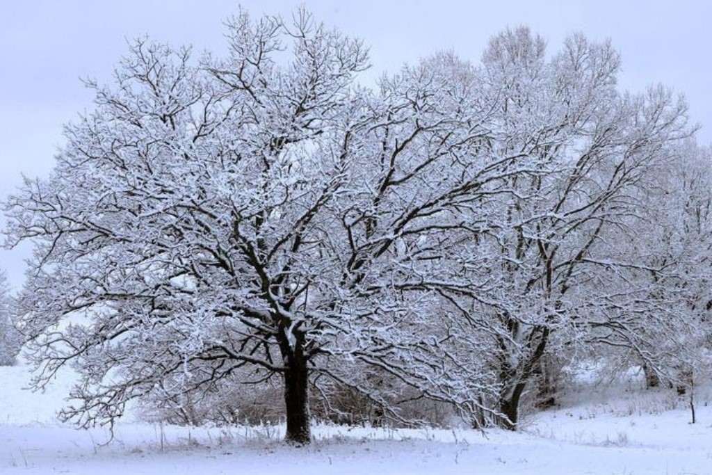 Снегопад и до -22°С прогнозируют в Беларуси 3 января 