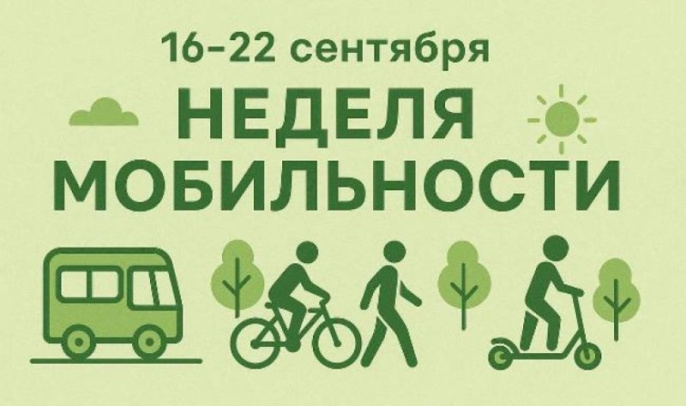 Экологические инициативы: популяризация СПМ и бесплатный проезд