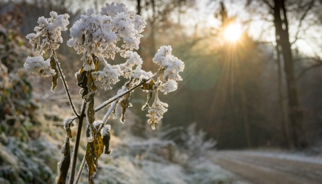Морозы до -25°С ожидаются в Беларуси на этой неделе
