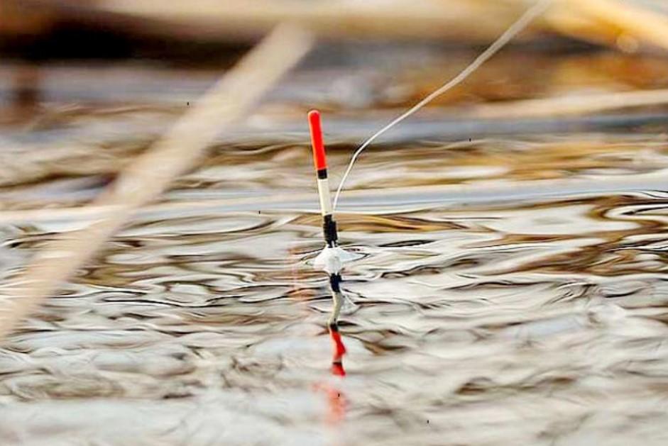 Весенний запрет на лов рыбы Весенний запрет на лов рыбы