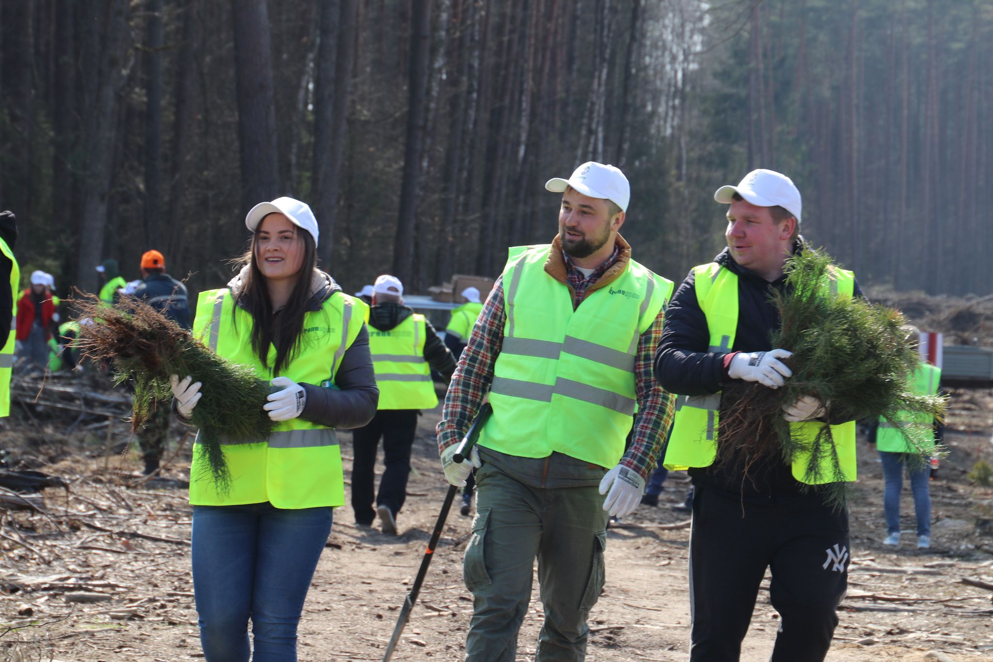 Работники ИООО "Кроноспан"   приняли участие в акции "Неделя леса"