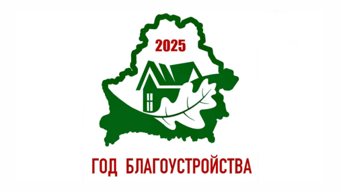 О контроле за выполнением планов мероприятий по проведению в 2025 году Года благоустройства»