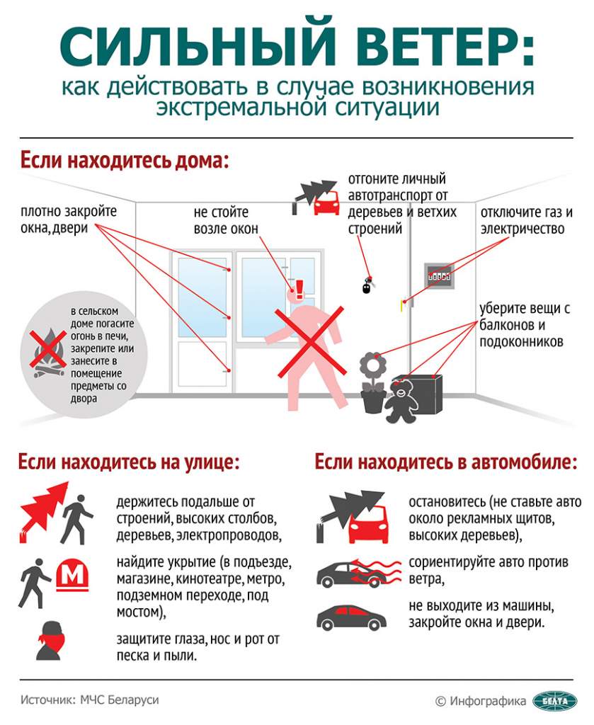 Сильный ветер: как действовать в случае возникновения экстремальной ситуации