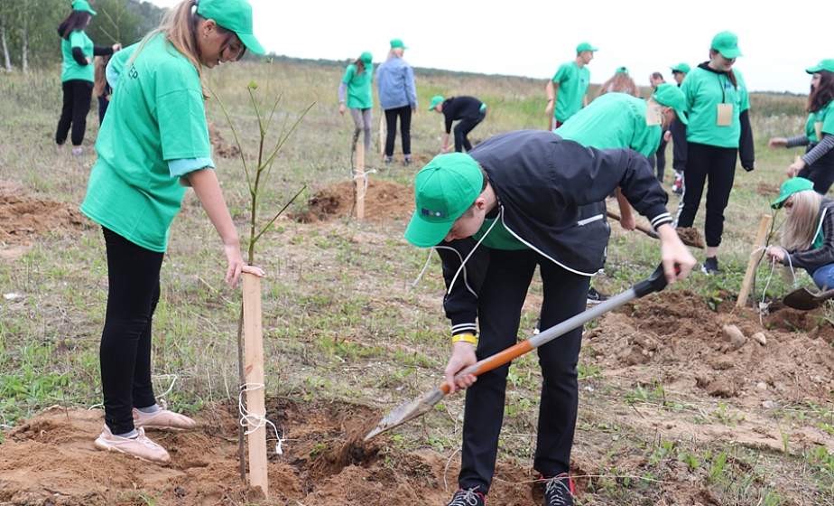Новые парки, аллеи и сады: в Беларуси стартует экологическая акция «Дерево героя»