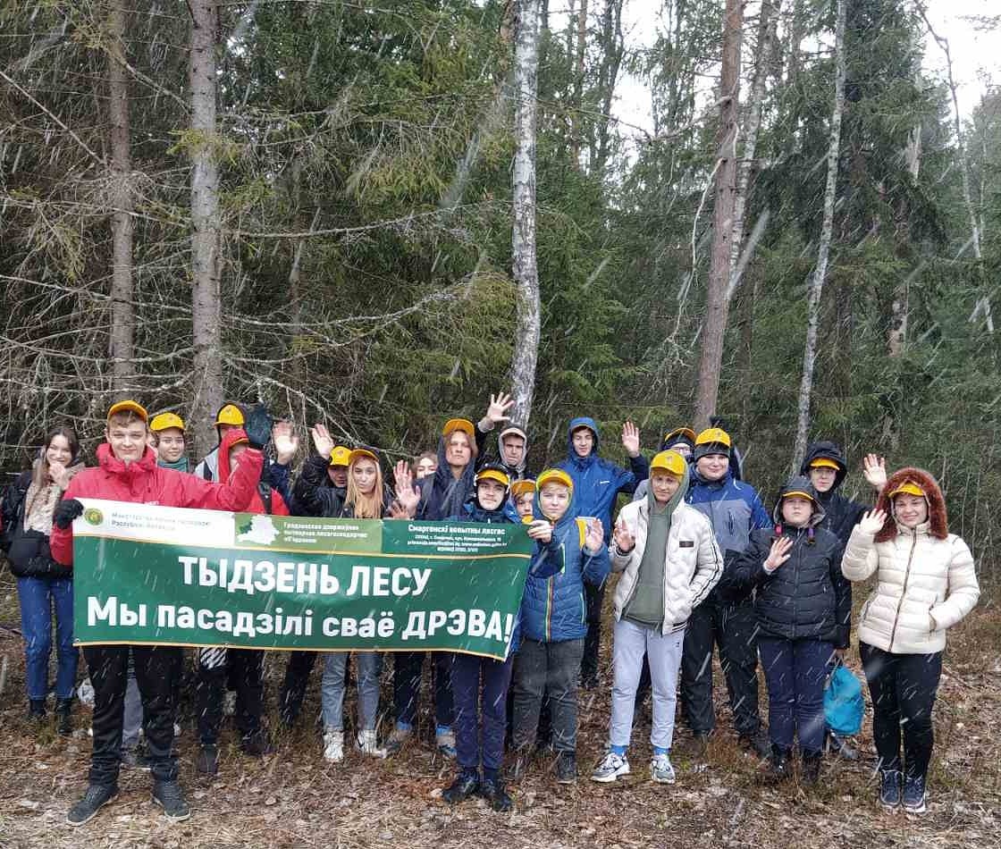 Учащиеся первой школы посадили своё дерево