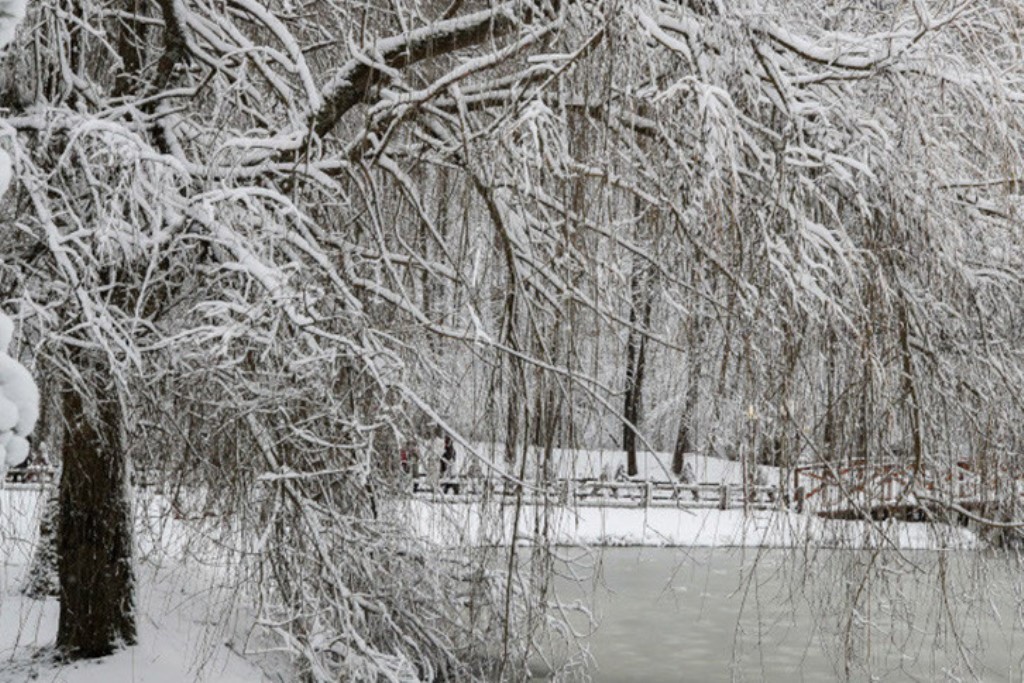 До -20°С, снег и гололедица будут в Беларуси 4 января