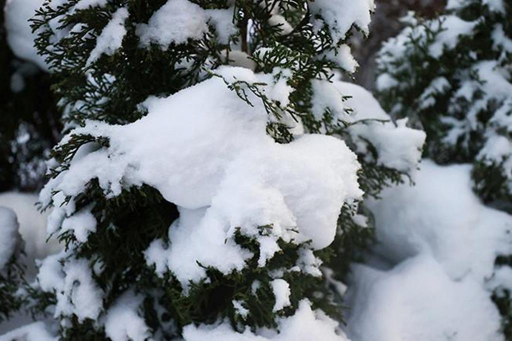 Мокрый снег, туман и гололедица ожидаются 13 декабря в Беларуси