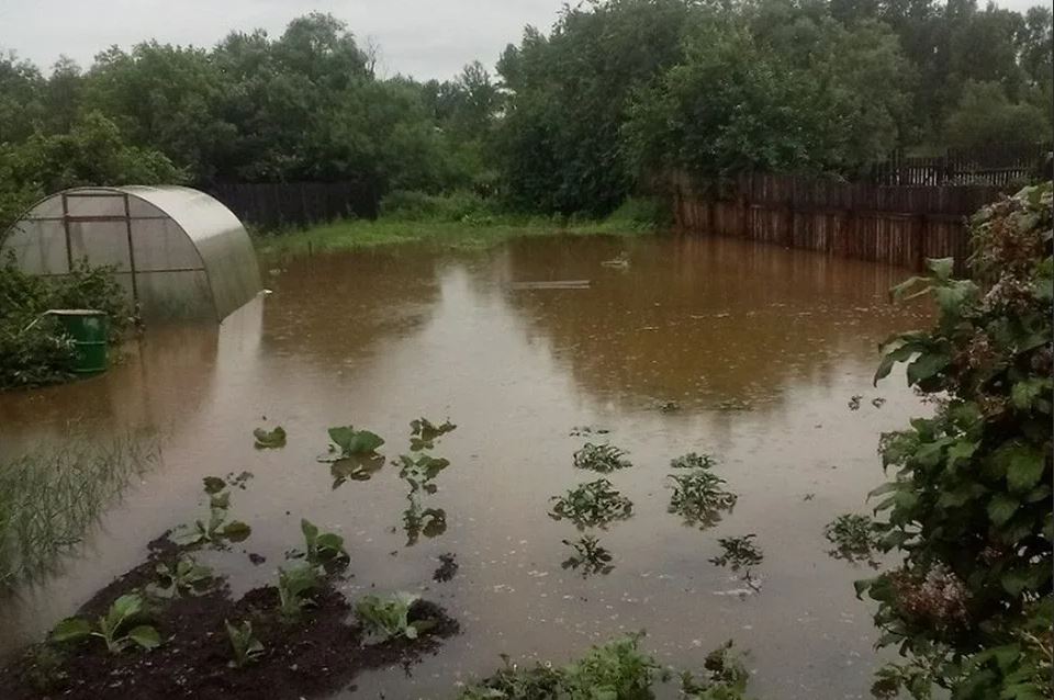 Вода в огородах