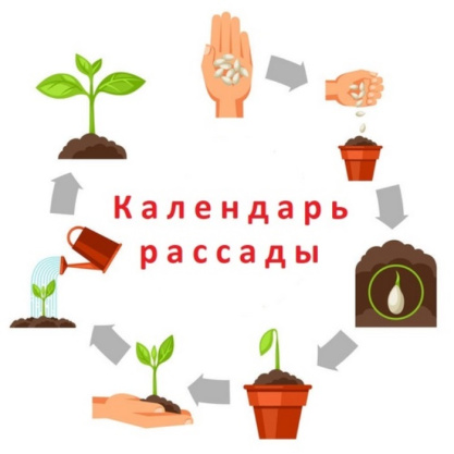 Посевной календарь на 2025 год