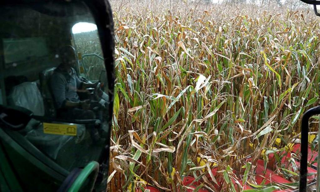 Александр Лукашенко сегодня с рабочей поездкой в Гомеле Александр Лукашенко сегодня с рабочей поездкой в Гомеле