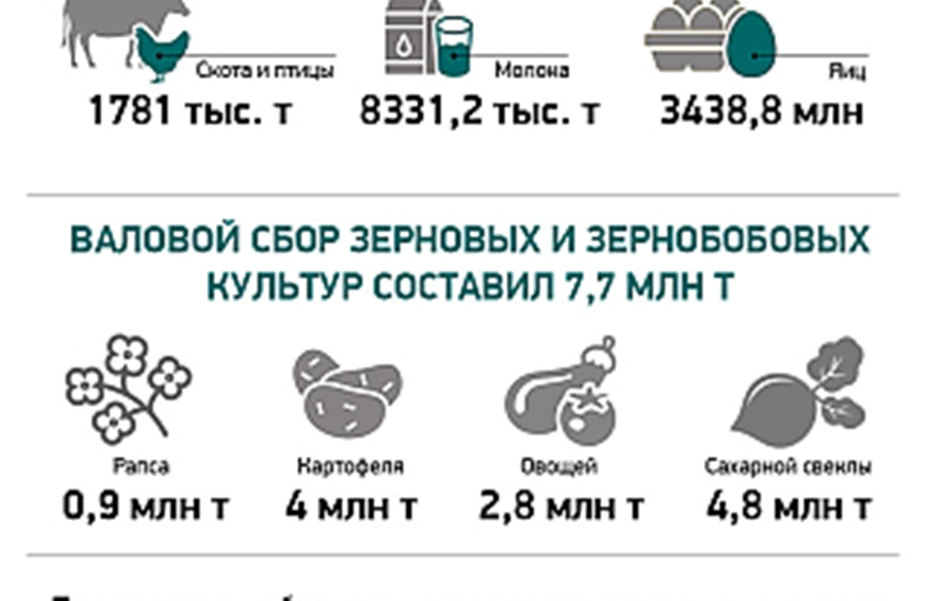 Производство сельскохозяйственной продукции в Беларуси (инфографика)