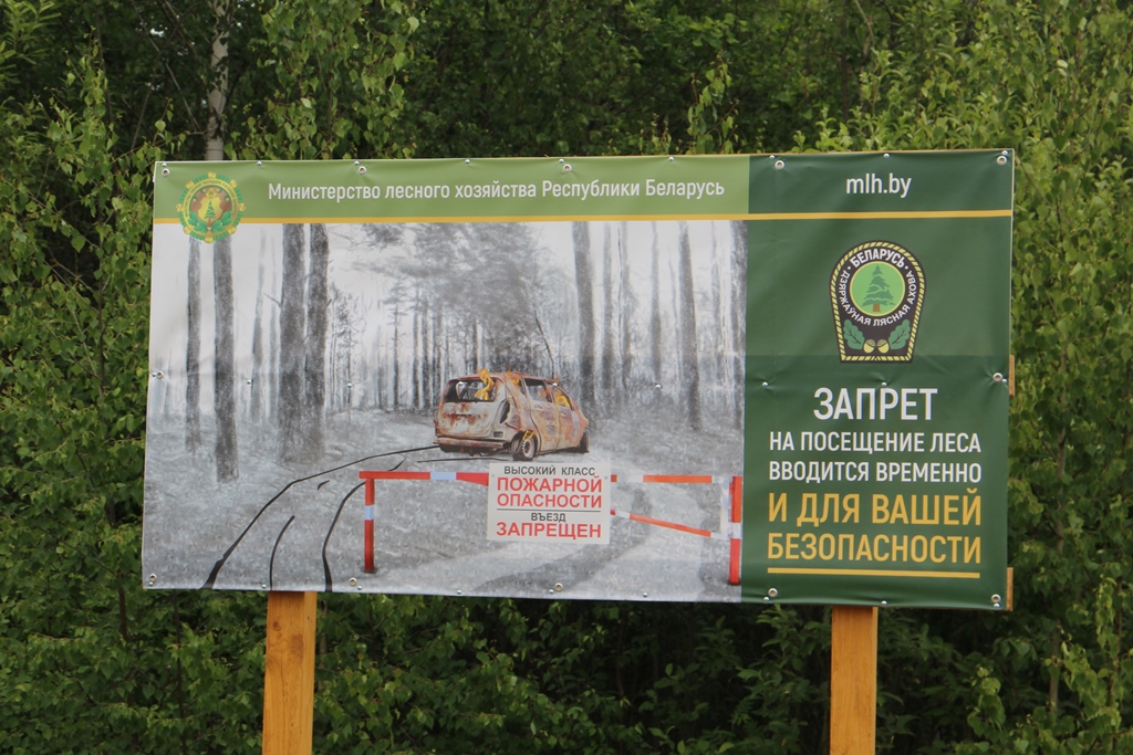 В районе действует запрет на посещение лесов