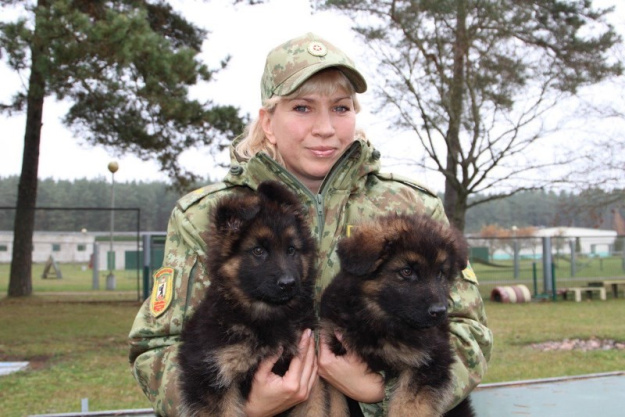 Майор Жанна Юркевич: кинология была мечтой, а стала смыслом жизни Майор Жанна Юркевич: кинология была мечтой, а стала смыслом жизни