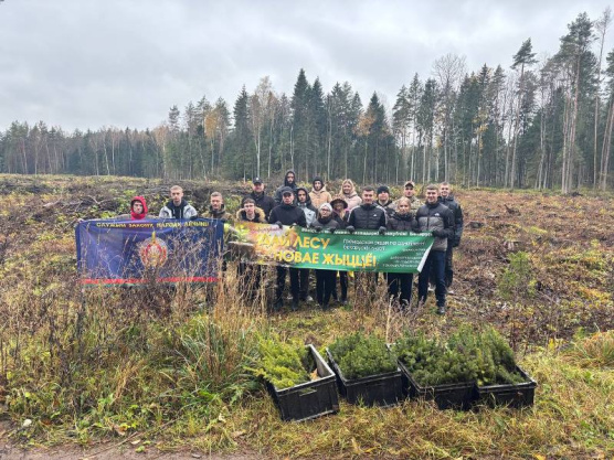 Сотрудники РОВД дали лесу новую жизнь, высадив сосны у деревни Белевичи Сотрудники РОВД дали лесу новую жизнь, высадив сосны у деревни Белевичи