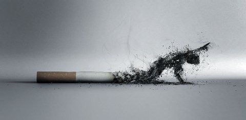 Курение и рак: причины рака легких