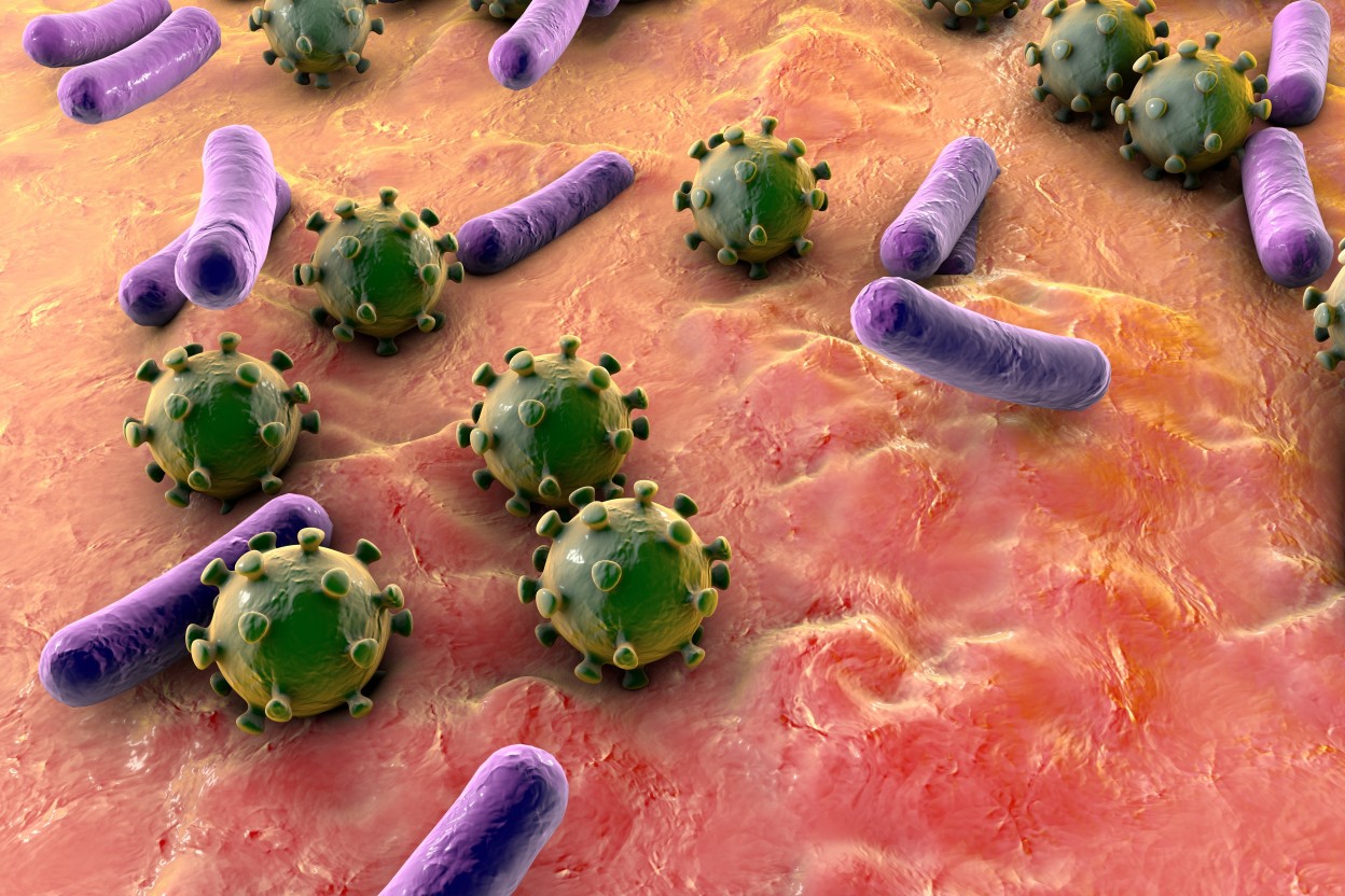 Где  живут микробы, или Самые грязные предметы  в вашем доме