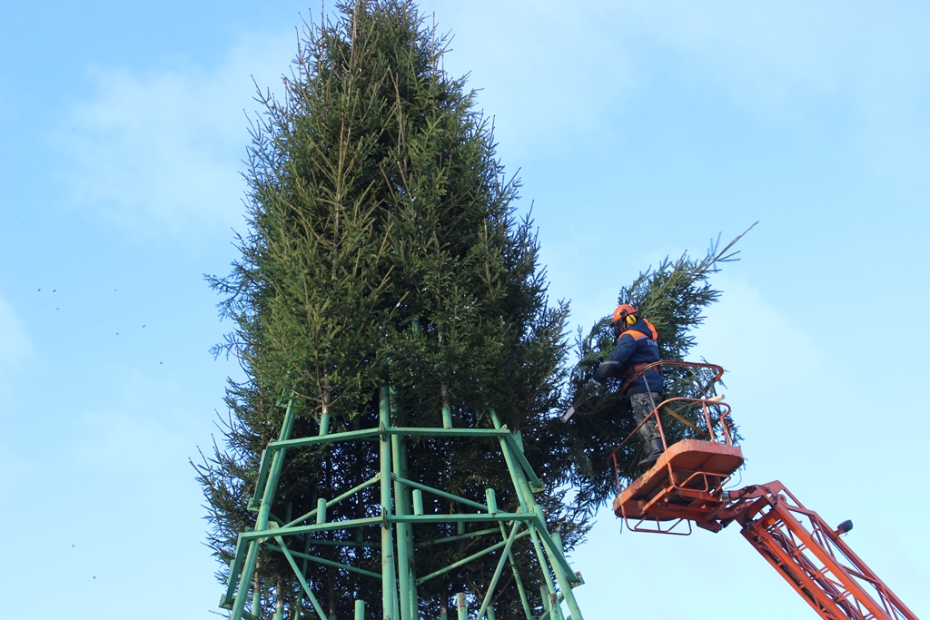 Монтаж главной новогодней ёлки Сморгони: высота – 18 метров, диаметр – 6 метров, 200 елей в каркасе