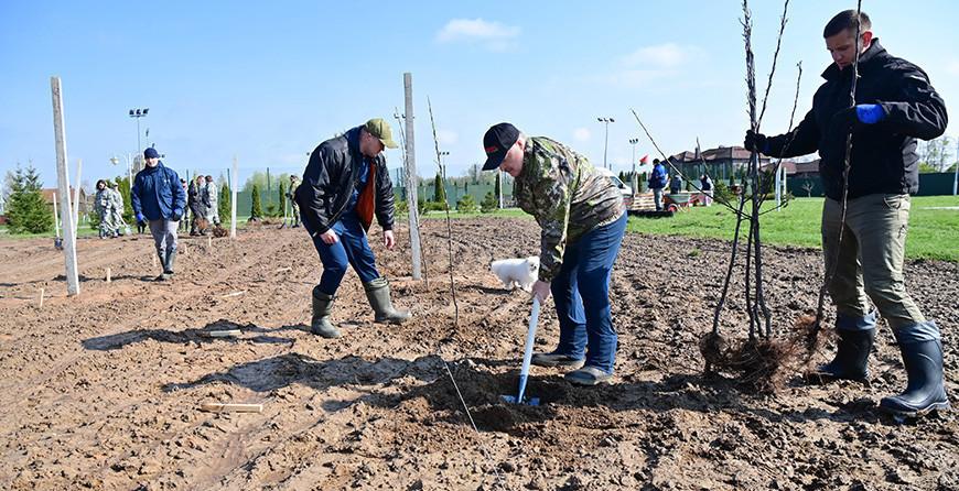 "Белорусское сладкое" и "Сябрына". Александр Лукашенко проводит субботник на своей малой родине