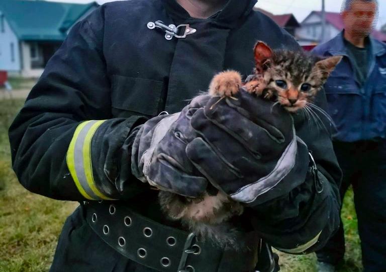 Сотрудники Сморгонского РОЧС спасли котёнка