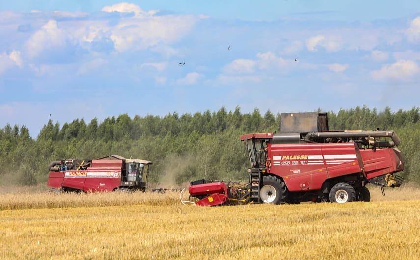 Белорусские аграрии намолотили более 4,1 миллиона тонн зерна