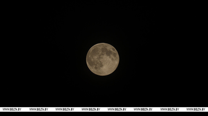«Бобровая луна» в небе над Беларусью «Бобровая луна» в небе над Беларусью
