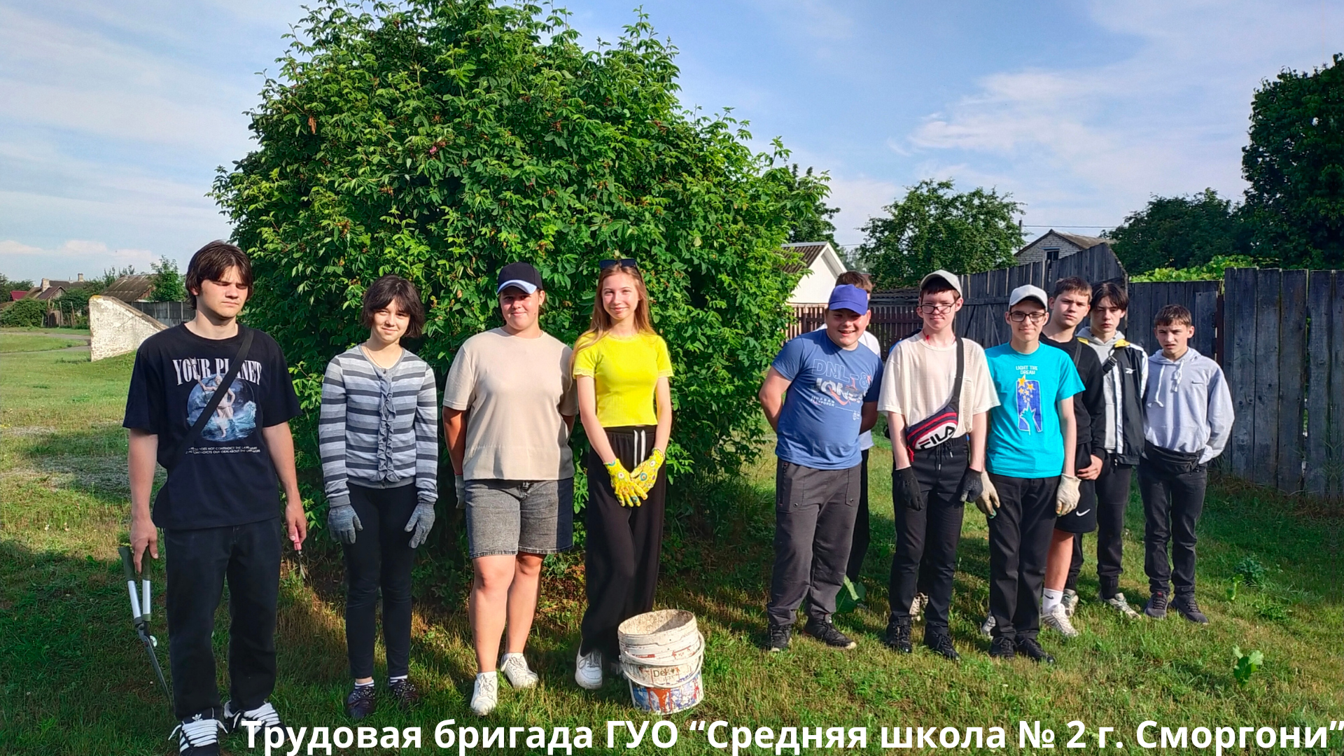 Первые шаги в профессию
