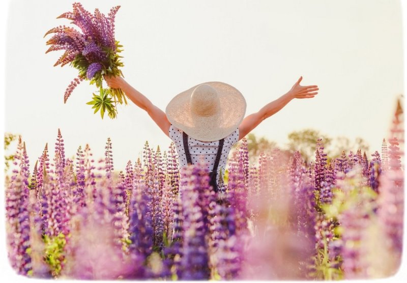 Танцуйте, отдыхайте, творите