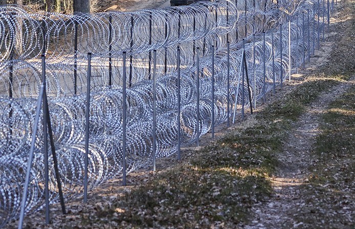 Очередная жертва литовской "колючки". Сморгонские пограничники на границе с Литвой обнаружили павшую косулю