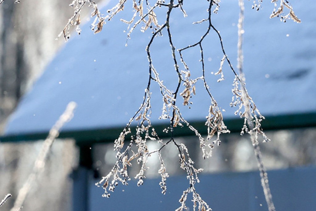 В Беларуси 24 января ожидается сильный ветер, снег и гололедица