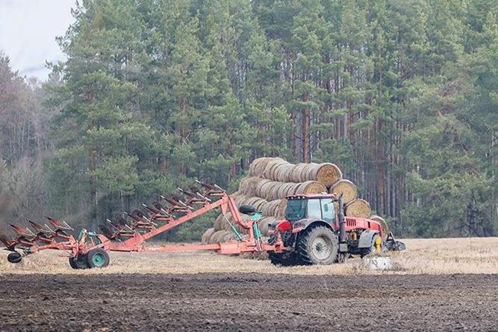 В Беларуси приступили к севу льна-долгунца