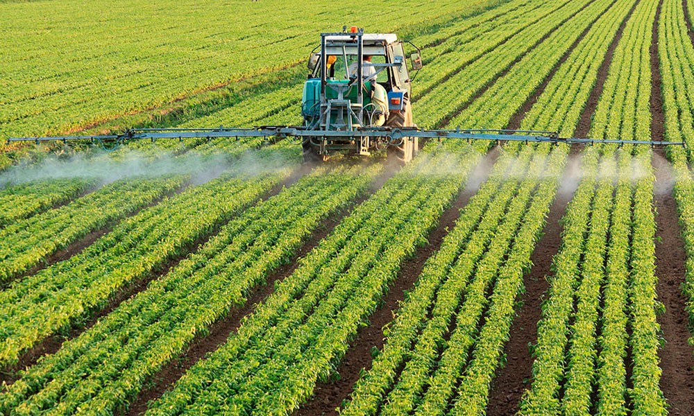 Пестициды: эффективно и безопасно