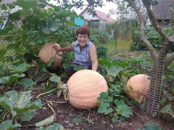 Где растут великаны? У жителей нашего района!