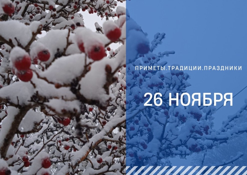 Приметы 26 ноября: почему надо лепить пельмени и нельзя есть яйца от белой курицы