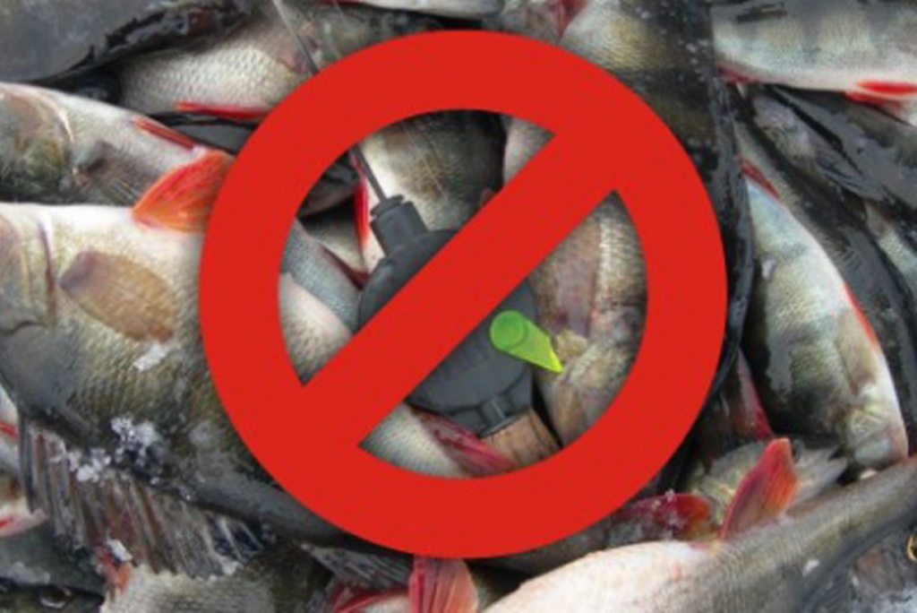 Запрет на вылов всех видов рыбы