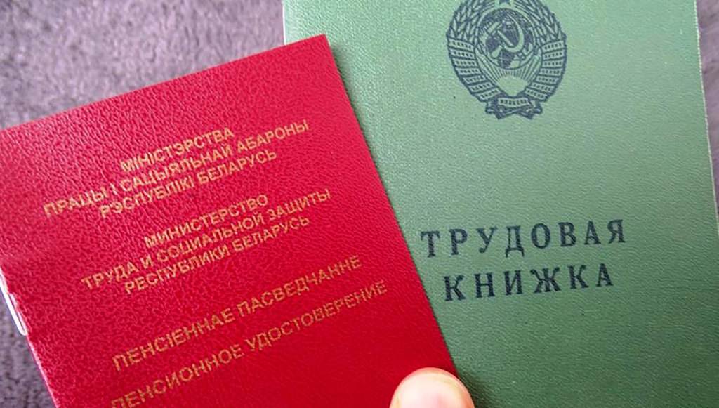Дополнительное накопительное пенсионное страхование с поддержкой государства: программа «Три плюс три»