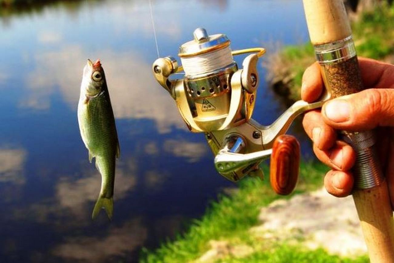 Весенний запрет на лов рыбы