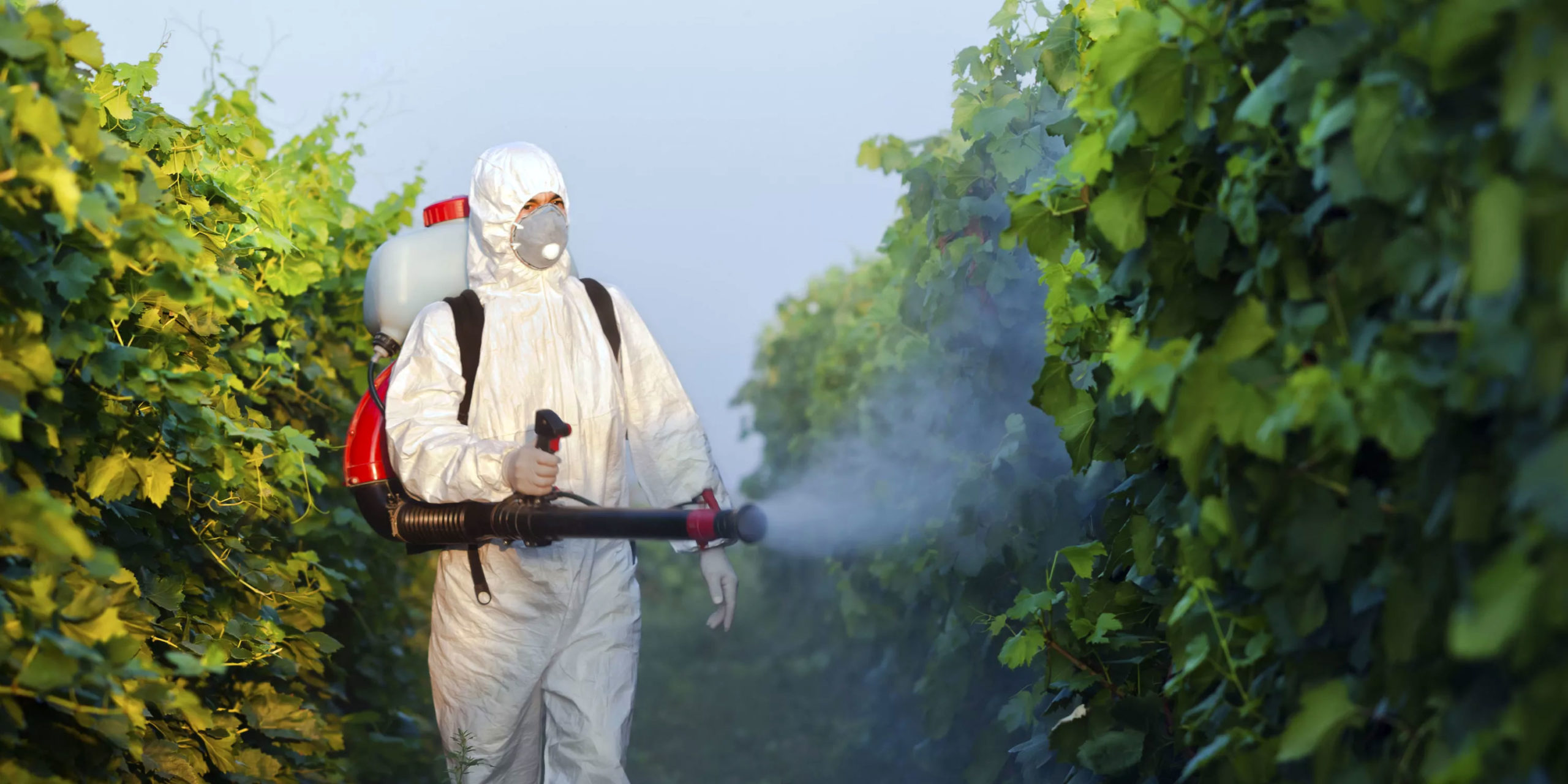 Как избежать отравления пестицидами