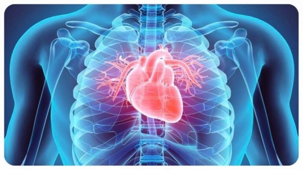 Профилактика сердечно-сосудистых заболеваний