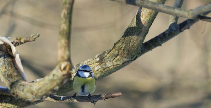 Дожди, туман и порывистый ветер ожидаются в Беларуси 26 февраля Дожди, туман и порывистый ветер ожидаются в Беларуси 26 февраля