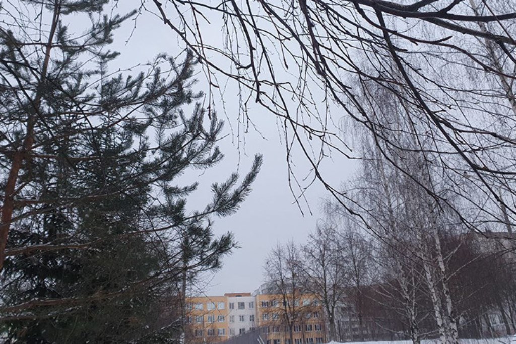 Оранжевый уровень опасности объявлен в Беларуси 5 января из-за гололеда