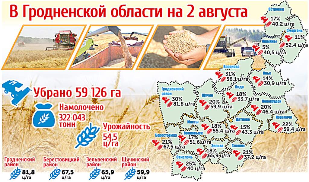 Карта урожайности в Гродненской области на 2 августа (инфографи