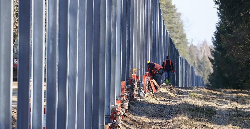 Польша уже построила 120 км стены в Беловежской пуще