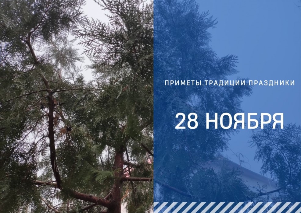 Приметы 28 ноября: что сделать в Гурьев день, чтобы быть здоровым весь следующий год Приметы 28 ноября: что сделать в Гурьев день, чтобы быть здоровым весь следующий год