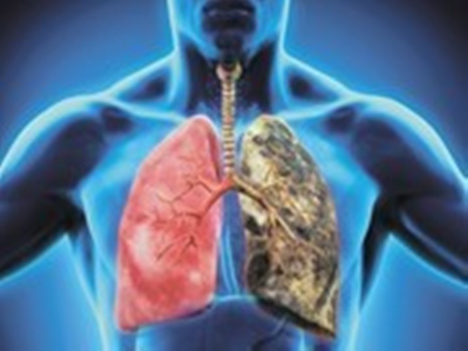 рак.jpg рак.jpg