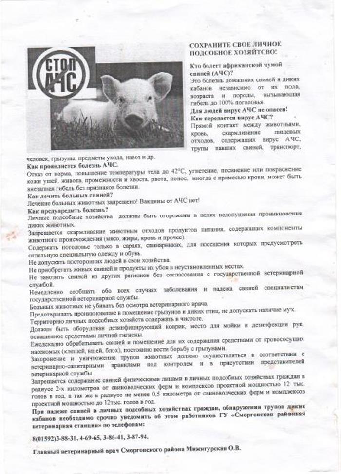 рер.jpg