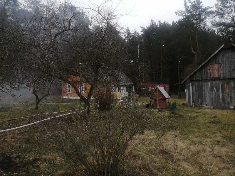 изображение_viber_2025-04-12_16-53-44-706.jpg