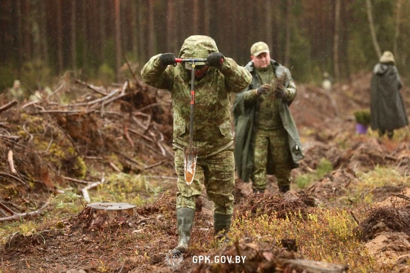 photo_2025-10-25_14-11-59 (5).jpg photo_2025-10-25_14-11-59 (5).jpg